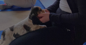 coralie pet sitter à LILLE 59260_7