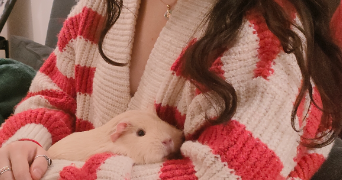 aimma pet sitter à COLOMBES 92700_2