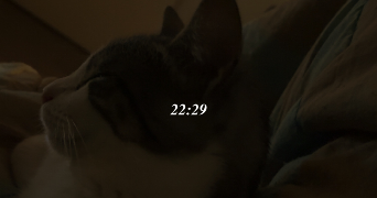 nathaniela cat sitter à OLLAINVILLE 91340_1