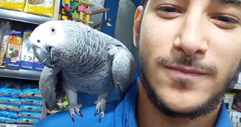 mohamed amine pet sitter à ORLEANS 45000_1