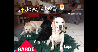 helene pet sitter à MONTPELLIER 34000_4