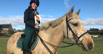 ambre pet sitter à AVRANCHES (ST MARTIN DES CHAMPS) 50300_0