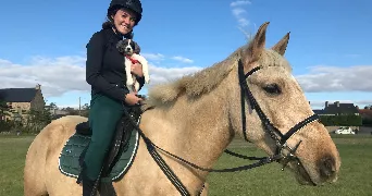 ambre pet sitter à AVRANCHES (ST MARTIN DES CHAMPS) 50300