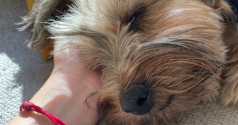 emilie dog sitter à Paris 75018_2