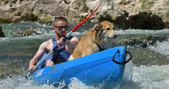 bastien  dog sitter à HAUTEFAGE LA TOUR 47340