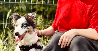 mathilde pet sitter à AULNAY SOUS BOIS 93600_1