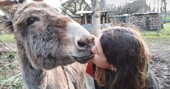 adèle pet sitter à ANGERS 49000_4