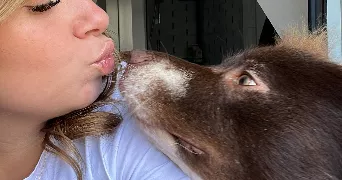 swann pet sitter à Saint Père Marc en Poulet 35430