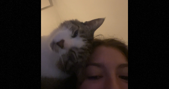 lilou pet sitter à POITIERS 86000_2