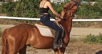 simona pet sitter à ASNIERES SUR SEINE 92600_8