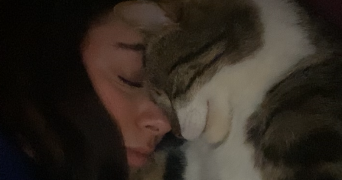 alis pet sitter à BORDEAUX 33300_0