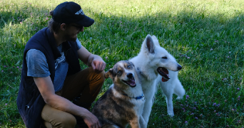 julien pet sitter à MORNAS 84550_0