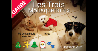 helene pet sitter à MONTPELLIER 34000_5