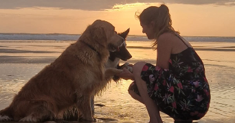 morgane pet sitter à LA SAUVE 33670_0