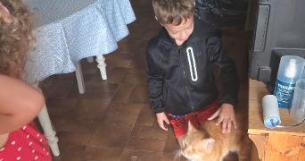 elodie pet sitter à COUBRON 93470_3