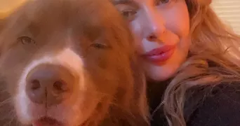 lucille pet sitter à ORLEANS 45000