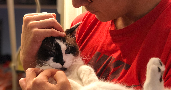 nadhir pet sitter à NOISIEL 77186_2