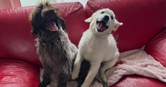 clemence pet sitter à MARSEILLE 08 13008_9