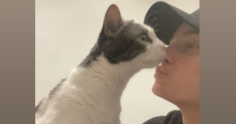 candy pet sitter à HOPITAL CAMFROUT 29460_2