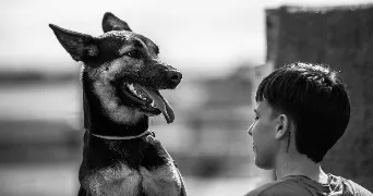 oliana pet sitter à Limoges 87000