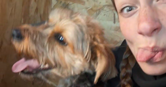 marie pet sitter à TOURNEFEUILLE 31170_6