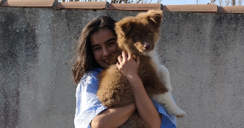 giulia pet sitter à PARIS 18 75018_0