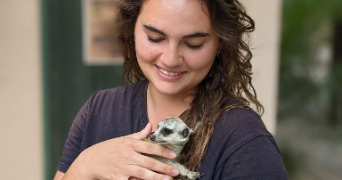 laurie pet sitter à ETAPLES 62630_0