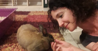 kathia pet sitter à ST PIERRE DES CORPS 37700_2