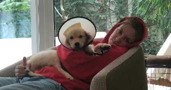 lily-rose pet sitter à LILLE 59000
