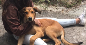 eden pet sitter à OUDON 44521_1