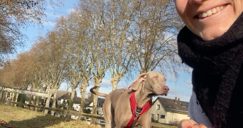 léa pet sitter à MULHOUSE 68100_1