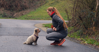 laura pet sitter à LE GRAND LEMPS 38690_0