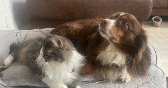 flore pet sitter à NICE 06000_2