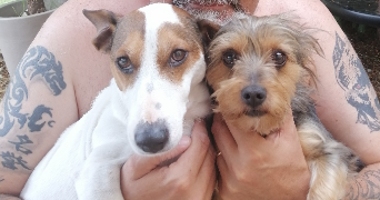 inès dog sitter à LYON 08 69008_1