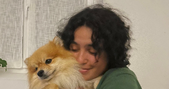 no' pet sitter à BREST 29200_0