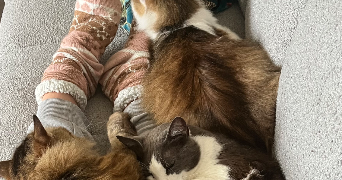 ambre pet sitter à MARSEILLE 12 13012_3