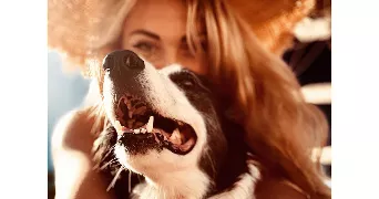 pauline pet sitter à MONTFERRAT 83131