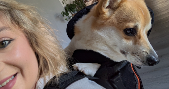 estelle pet sitter à GUICHEN 35580_1