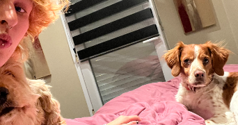 jay pet sitter à DRANCY 93700_1