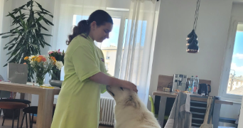 catinca pet sitter à QUIMPER 29000_2