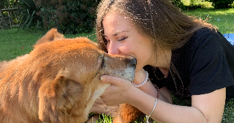 céline pet sitter à LA CHAPELLE SUR ERDRE 44240_2