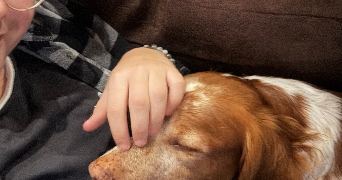 noe pet sitter à CLERMONT FERRAND 63000_7