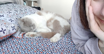 morgane pet sitter à ARCUEIL 94110_2