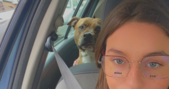 melanie pet sitter à AIX EN PROVENCE 13090_0