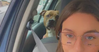 melanie pet sitter à AIX EN PROVENCE 13090