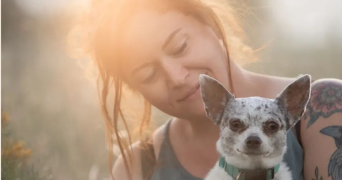 flora pet sitter à ST GERVASY 30320_0