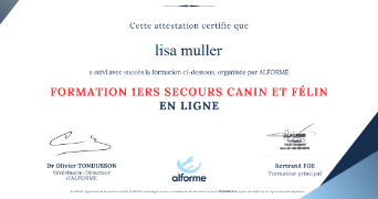 lisa pet sitter à MIRECOURT 88500_7