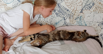 elodie pet sitter à VILLENAVE D ORNON 33140_4