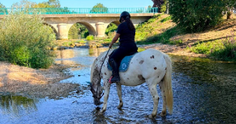 marie pet sitter à AUXONNE 21130_3