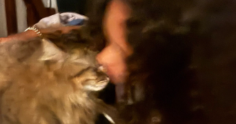 ambre pet sitter à MOUGINS 06250_3